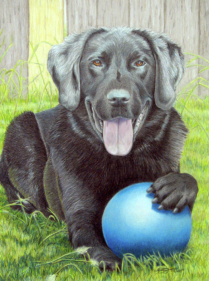 Dog Drawing - My Big Blue Ball by Beverly Fuqua