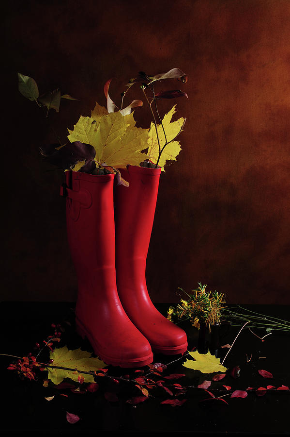 My Boots are Cool Photograph by Randi Grace Nilsberg