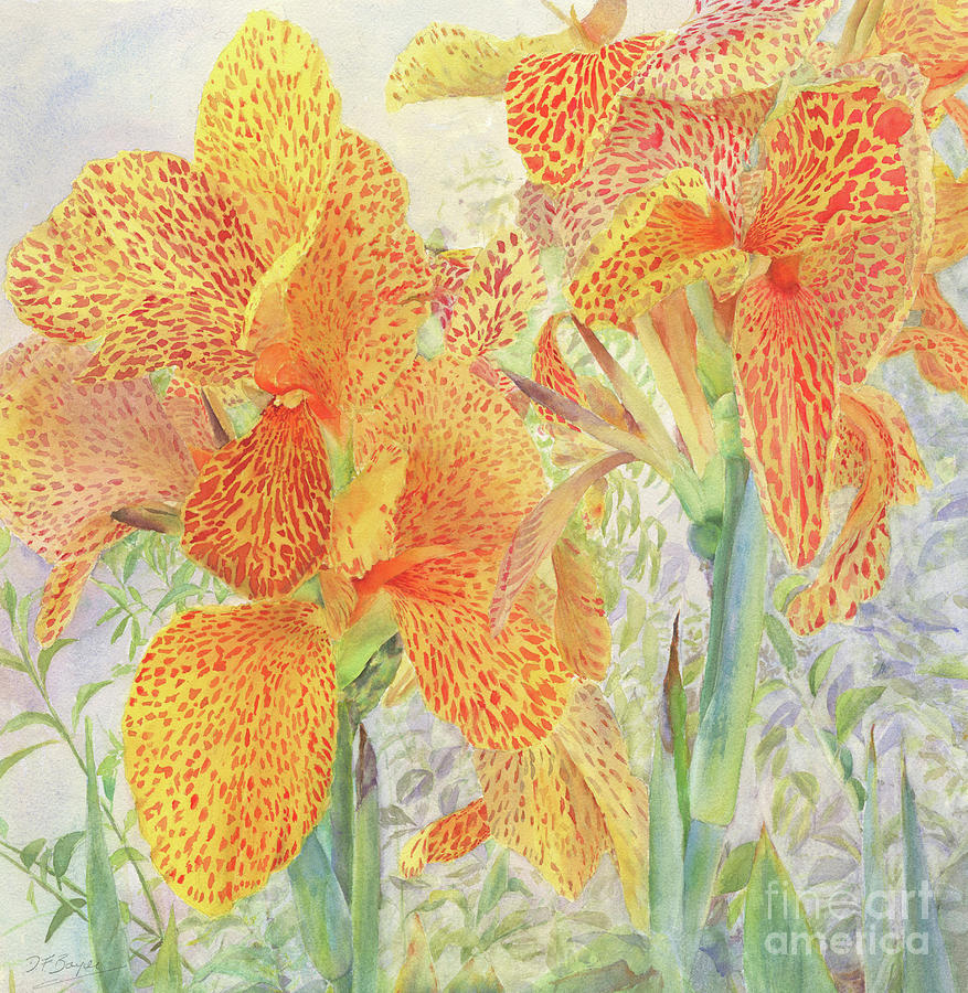 Canna Lilies Painting - My Cannas by Dorothy Boyer