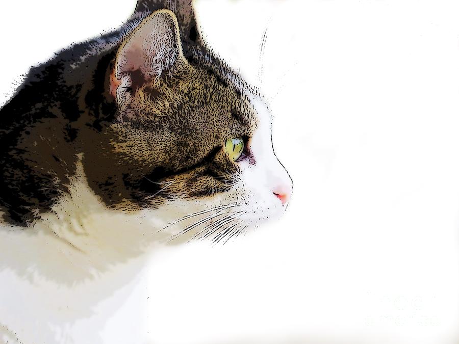 My Cat Digital Art by Craig Walters