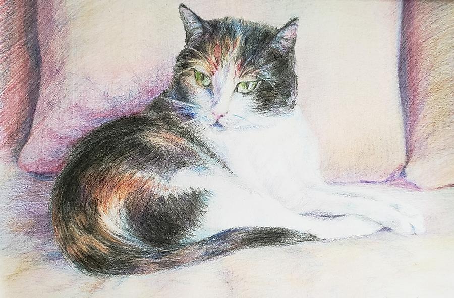 My Cat Drawing by Svetlana Nassyrov