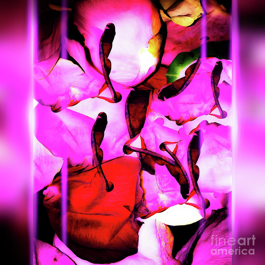 My Delight Digital Art by Gayle Price Thomas