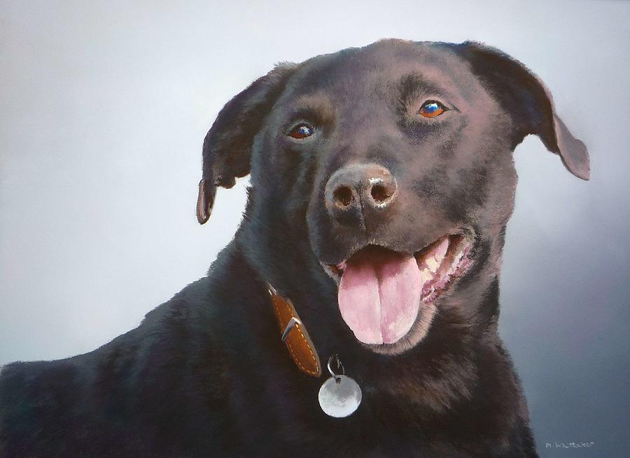 Animal Painting - My dog Max by Mark Whittaker
