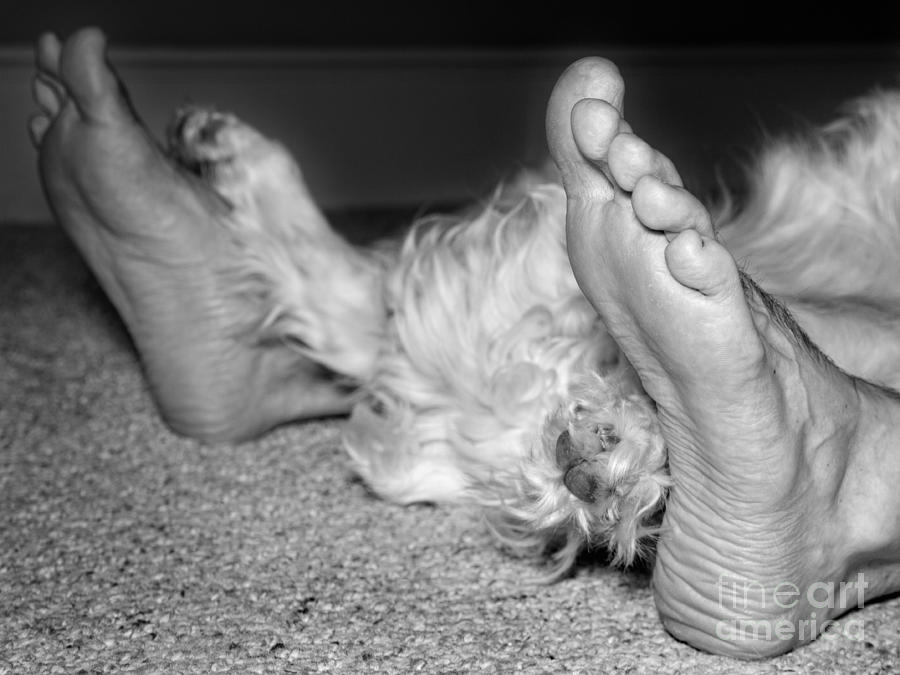 My Favorite Feet Photograph by Jemmy Archer