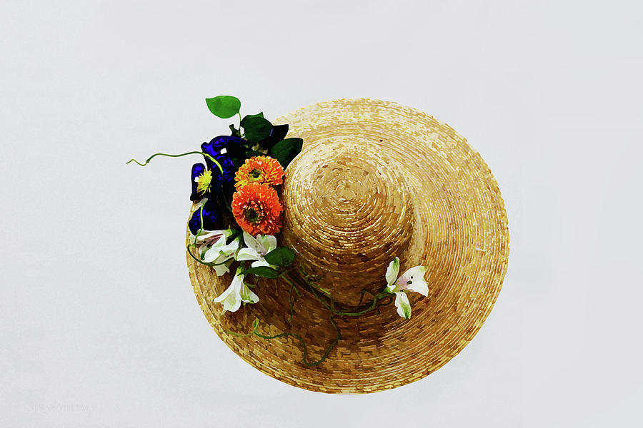 My Favorite Hat Photograph by Susan Vineyard