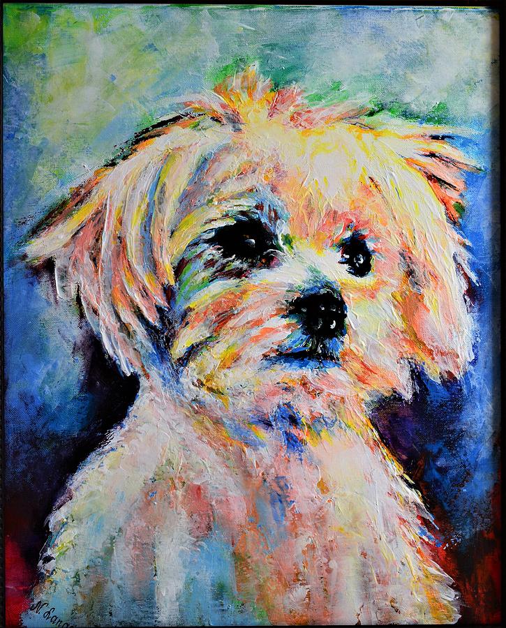 My favorite Maltese by Natalya Lango