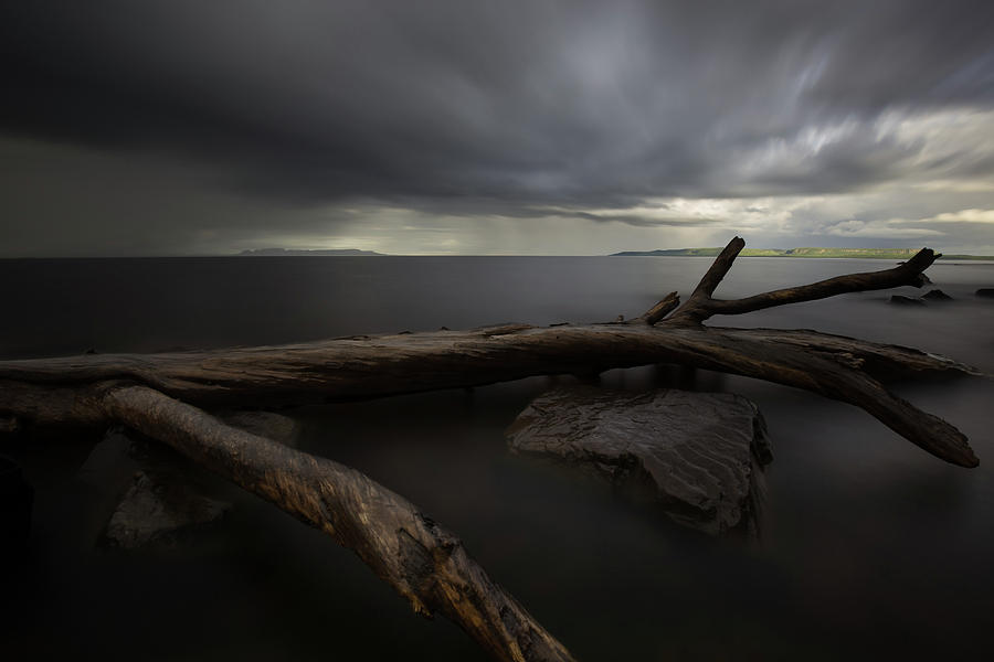 My Favourite Piece of Driftwood, the Giant and A Thuderstorm Photograph by Jakub Sisak
