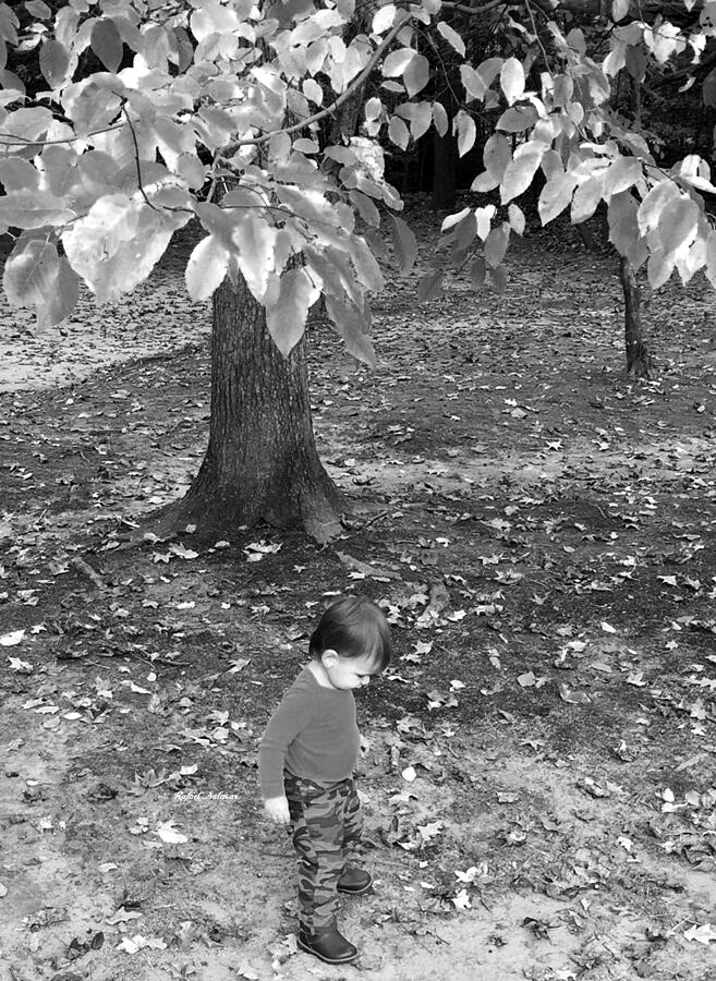 My First Walk in the Woods - Black and white Photograph by Rafael Salazar
