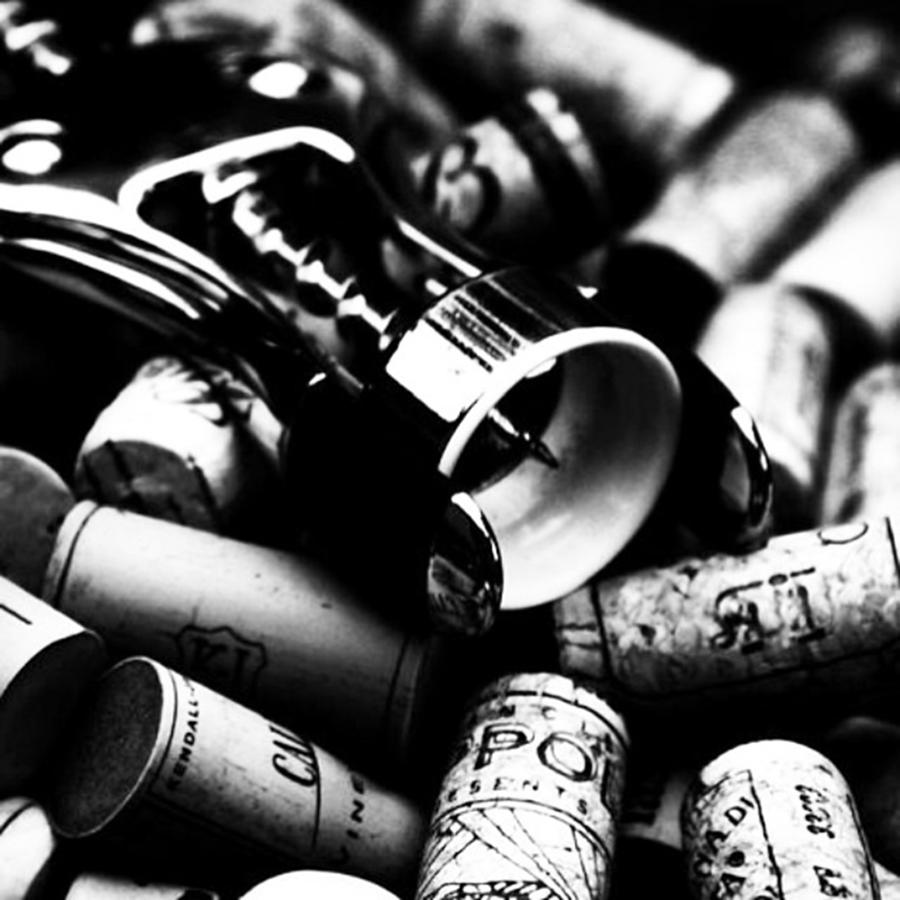 Wine Photograph - My First Wine Photo Ever Sold! I Need by Romina Ludovico-Pfosi