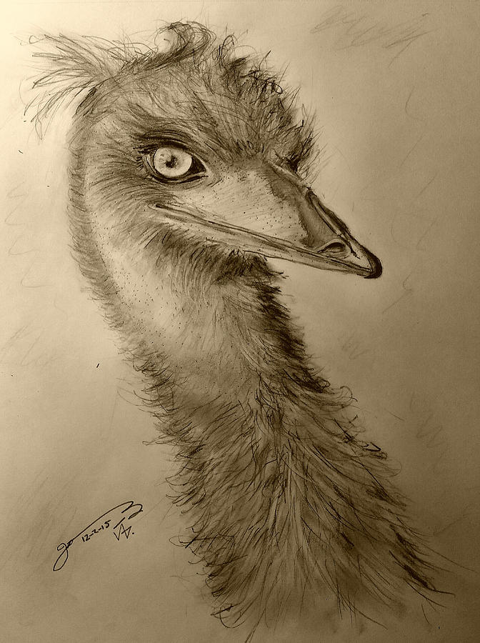 My Friend Emu Drawing