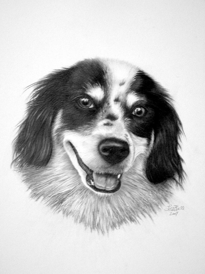 Dog Drawing - My Friend by Lisa Bell