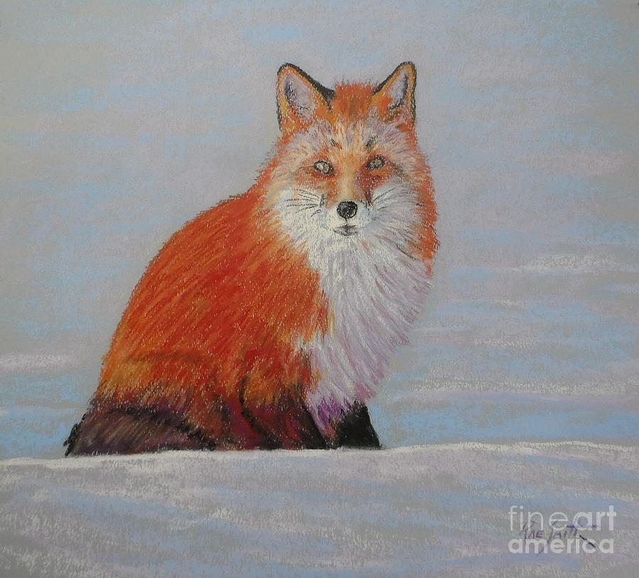My Friend the Fox  Pastel by Rae  Smith PAC