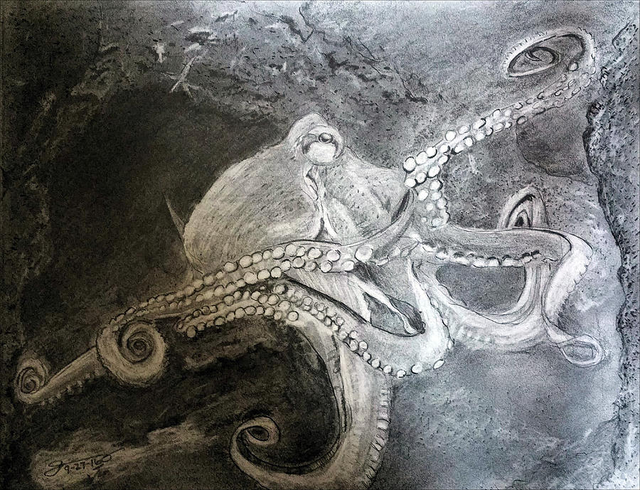 My Friend The Octopus Drawing