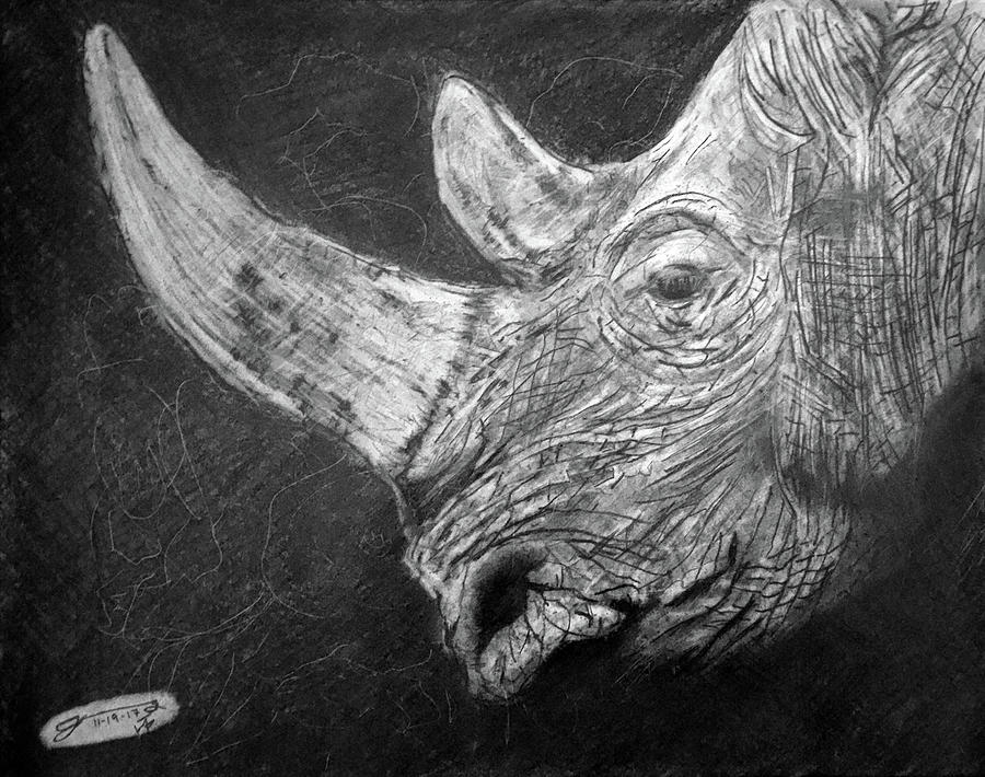 My Friend The Rhinoceros Iv Drawing