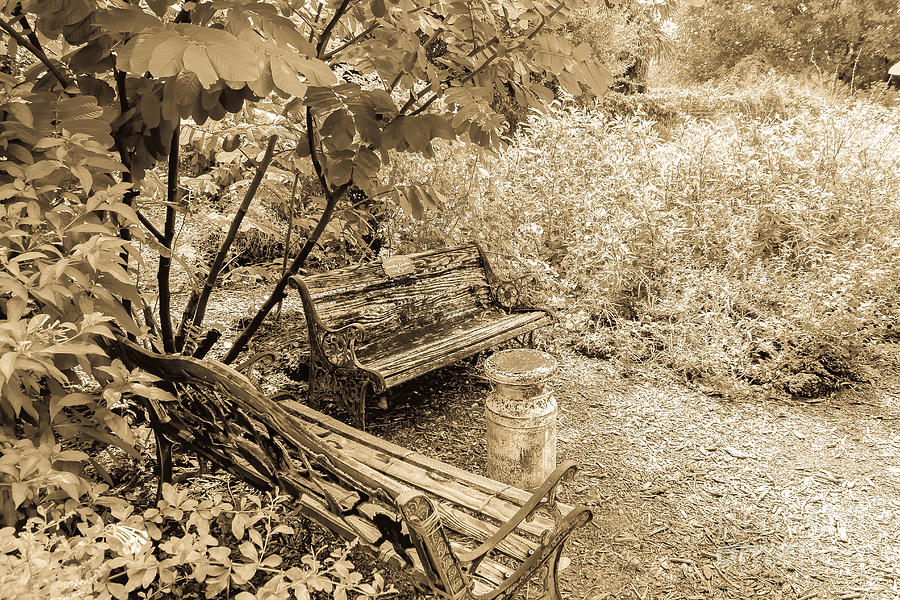 My Garden Hideaway Sepia Photograph By Liesl Walsh Fine Art America