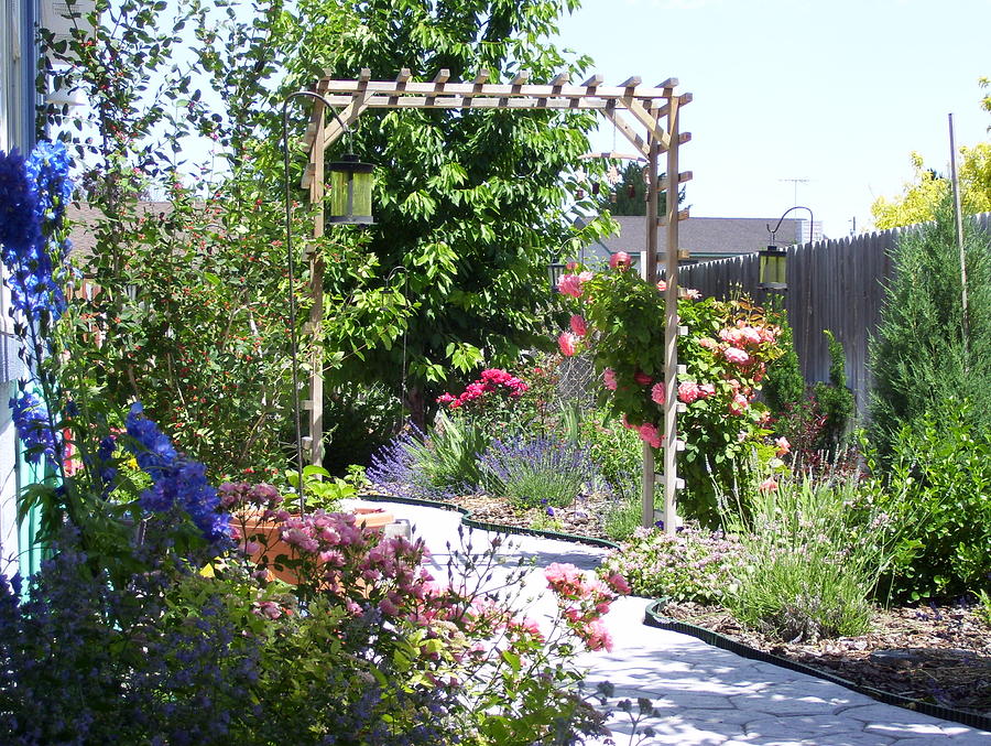 My Garden in Summer Photograph by Rose Fisher | Fine Art America