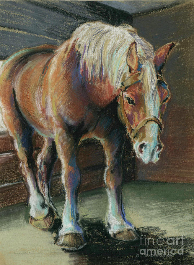 My Grandfather's Belgians Resting Pastel by Pat Oldham - Fine Art America