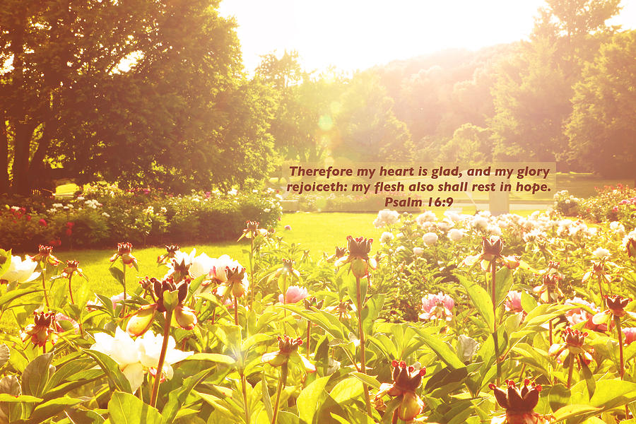 My Heart is Glad Photograph by Debbie Nobile Fine Art America