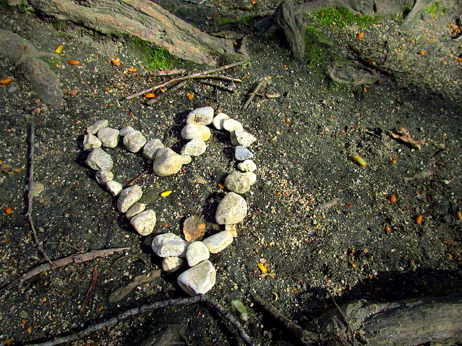 My Heart Is Rock Solid Photograph by Joyce Dickens