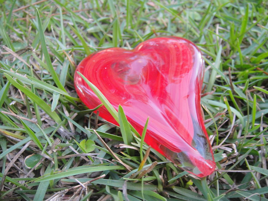 My hearts in the grass Photograph by WaLdEmAr BoRrErO