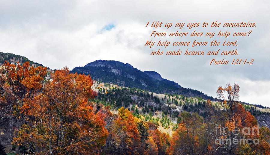 Fall Photograph - My Help Comes From The Lord by Lydia Holly