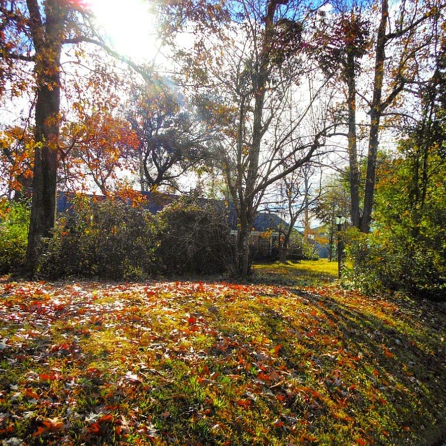 Nature Photograph - My Home In Autumn, As Scene From The by Cheray Dillon