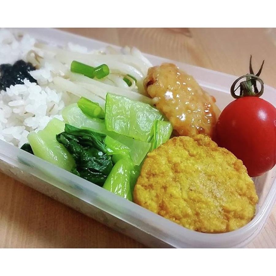 Bento Photograph - My Homemade Bento Boxed Lunch by Lady Pumpkin