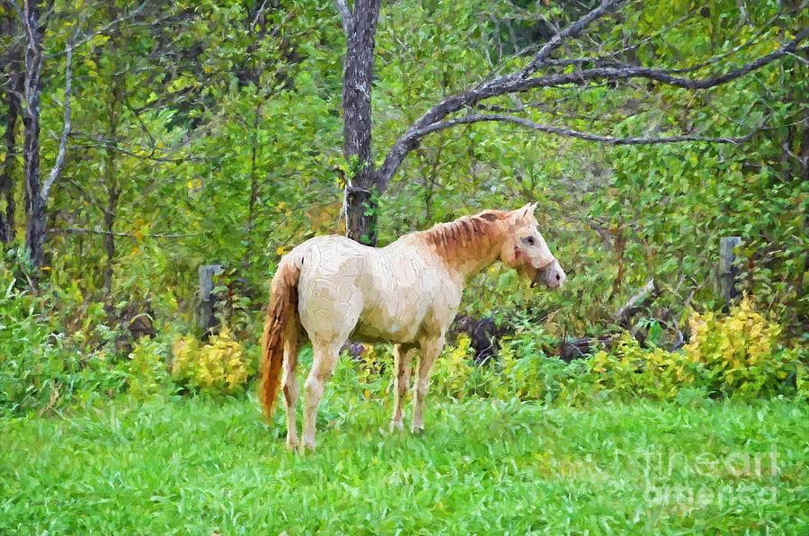 Nature Photograph - My Horse Cody - Digital Paint by Debbie Portwood