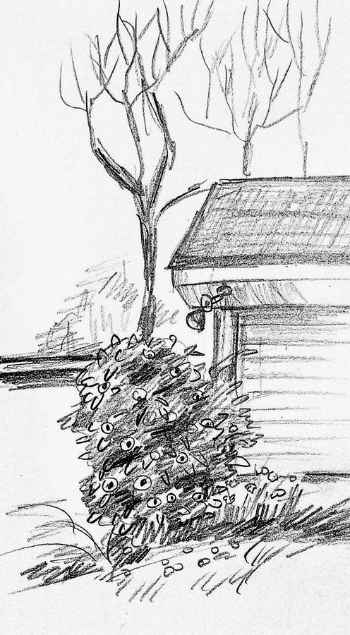 My house Drawing by Hae Kim