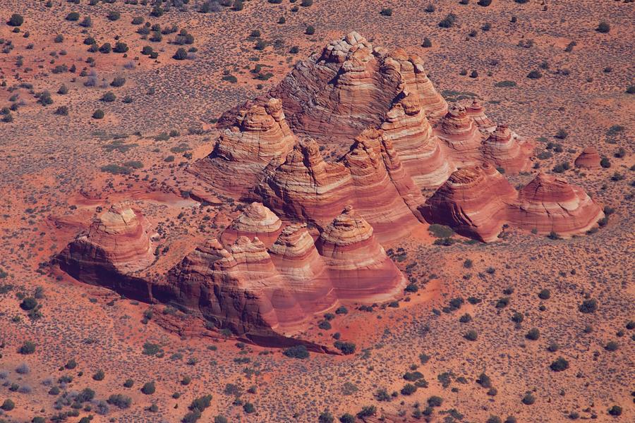 Desert Photograph - My Humps by Chris Saulit
