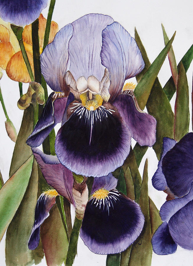 My Iris Garden Painting by Mary Gaines