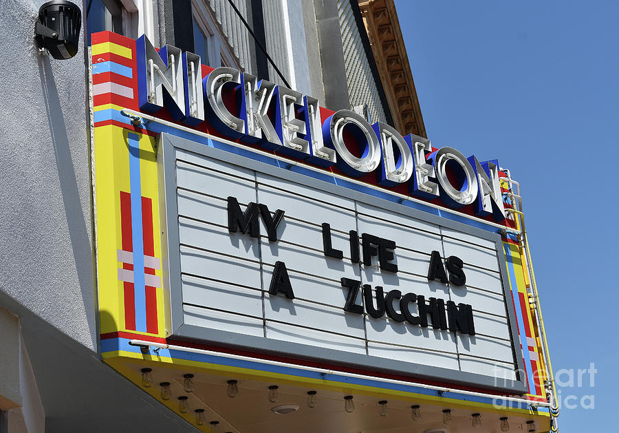 My Life As A  Zucchini Photograph by Skip Willits