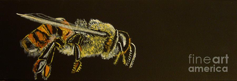 Insects Painting - My Little Honey Bee by Stuart Engel