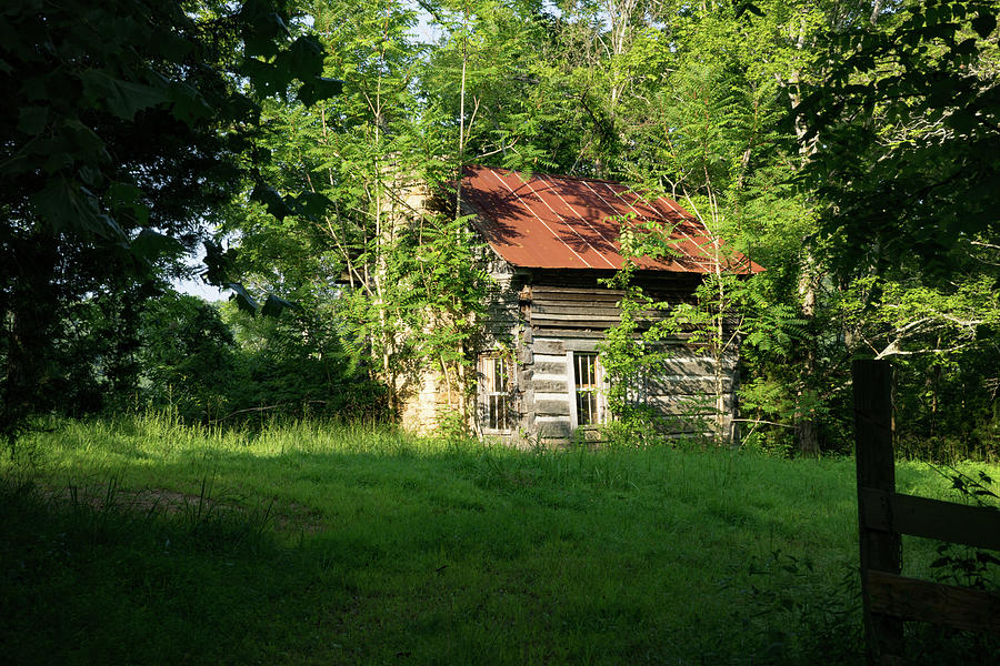 My Little Log Cabin Photograph by Douglas Barnett