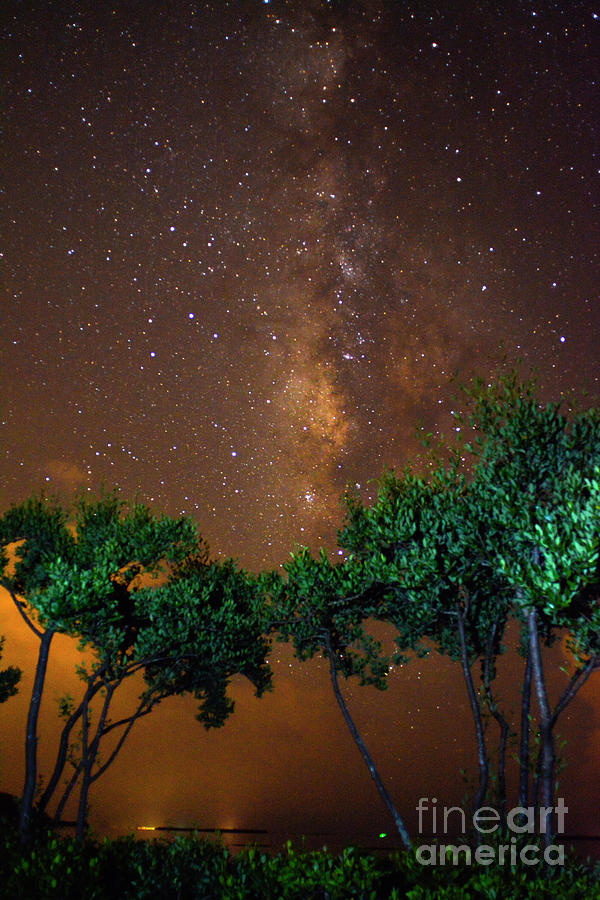 My Milky Way Photograph by Quinn Sedam