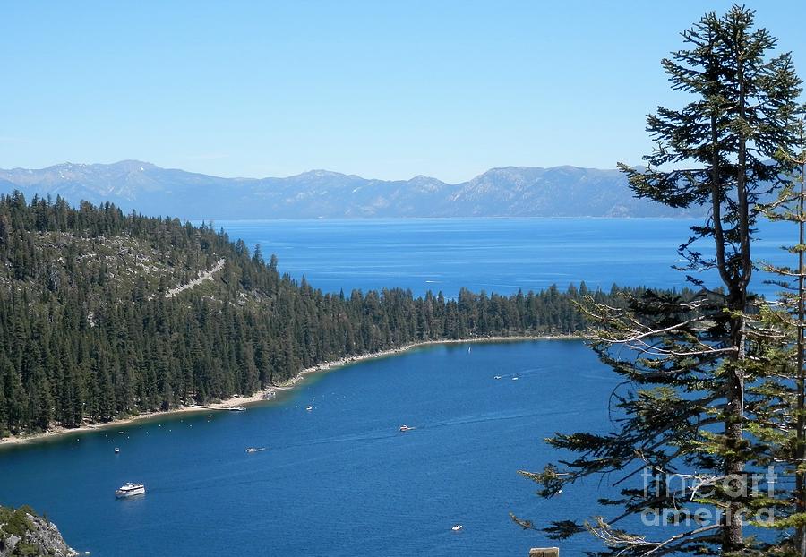 My moment with Tahoe Photograph by Barbara Leigh Art