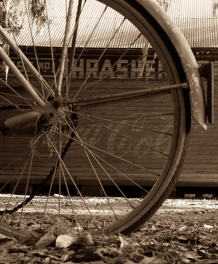 Florida History Photograph - My old bike by David Lee Thompson