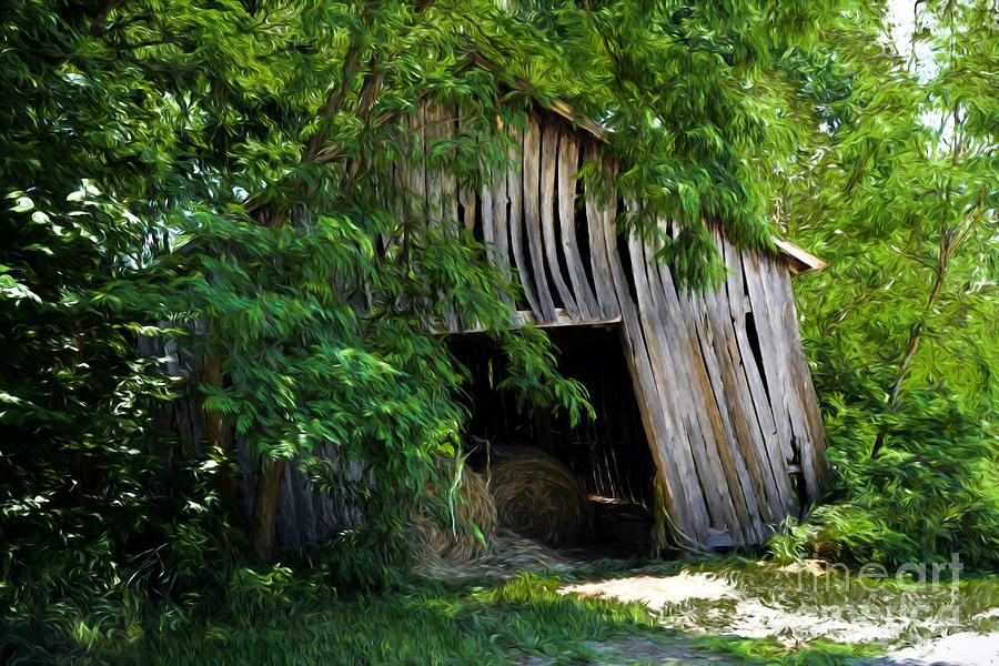 My Old Kentucky Barn Photograph by Mel Steinhauer