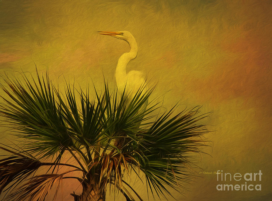 Egret Painting - My Palm Tree by Deborah Benoit