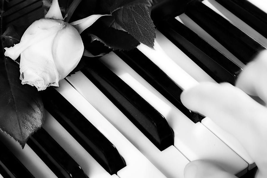 My Piano Photograph by James BO Insogna