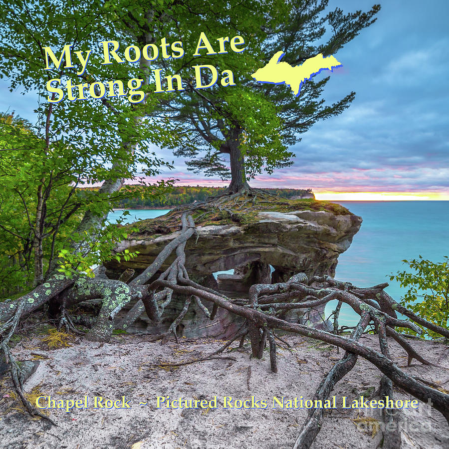 My Roots Are Strong Chapel Rock -6121 Pictured Rocks Michuigan Photograph by Norris Seward