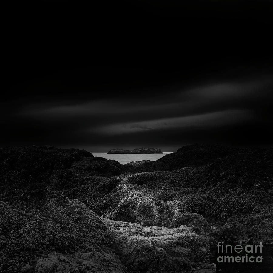 Black And White Photograph - My Secret Island by Masako Metz