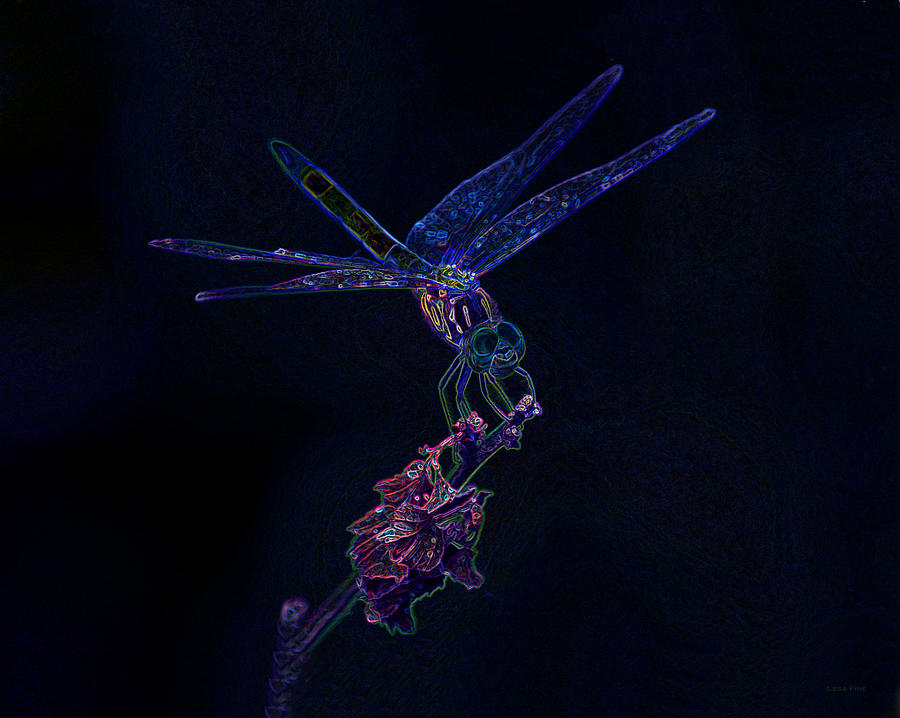 My Shining Moment Dragonfly Art Photograph by Lesa Fine