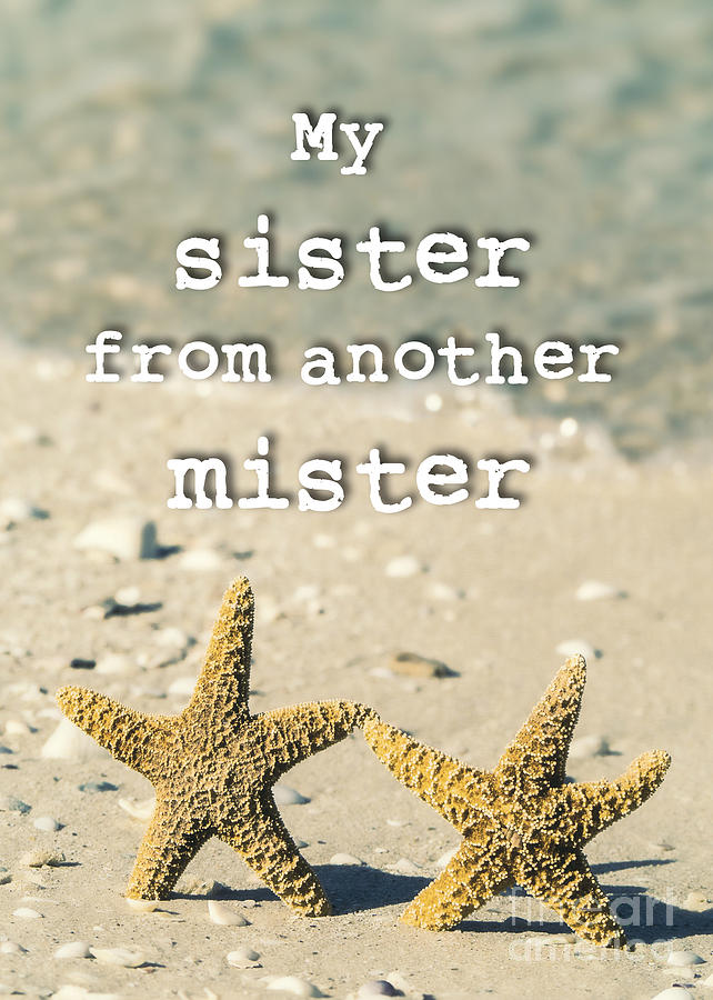 My sister from another mister Photograph by Edward Fielding