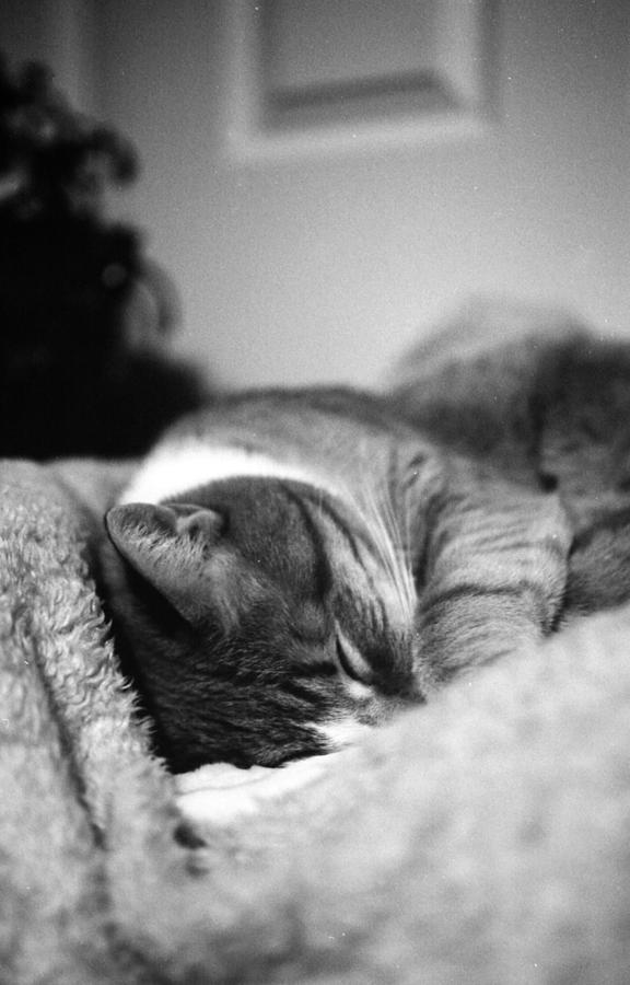 My snuggle bug Photograph by Teri Schuster