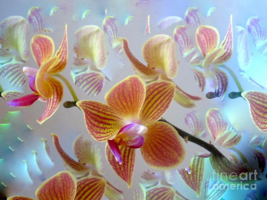 My Striped Orchid and a Touch of Digital  Photograph by Phyllis Kaltenbach