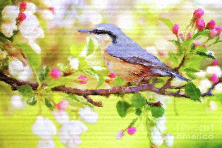 My Summer Bird Painting by Esoterica Art Agency - Fine Art America