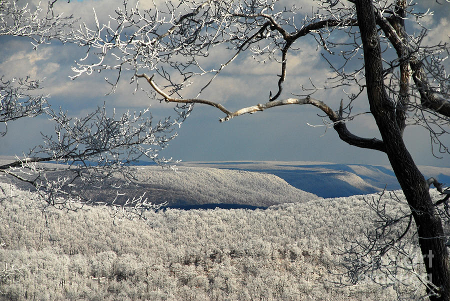 Winter Photograph - My Sunday by Lois Bryan