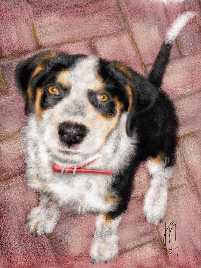 Dog Digital Art - My Sweet Puppy by Lois Ivancin Tavaf