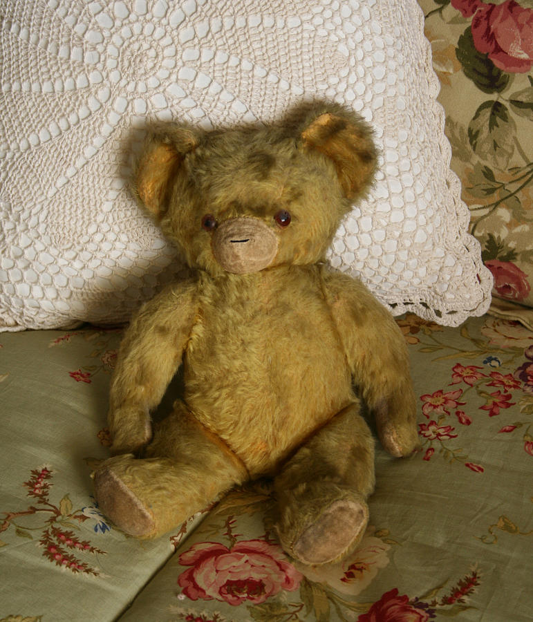 My Teddy Bear Photograph by Marna Edwards Flavell